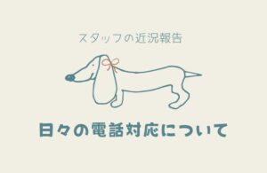 渋谷スタッフの近況報告！受付スタッフとしての“電話対応”のお話🐻